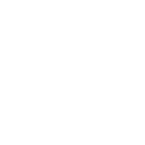 診断フェーズ（3か月程度）