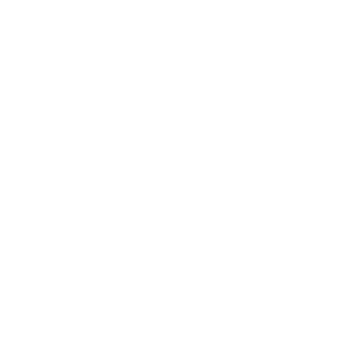 大学